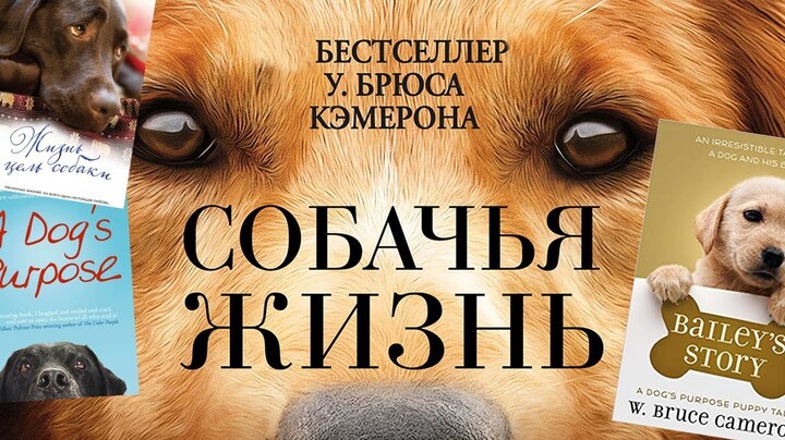 Книги / Собачья жизнь / Жизнь и цель собаки,  Брюс Кэмерон