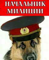 Начальник милиции - 3