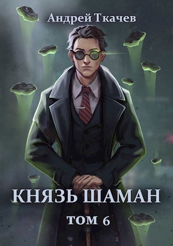 Князь шаман. Том 6